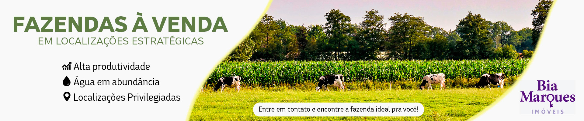 fazenda