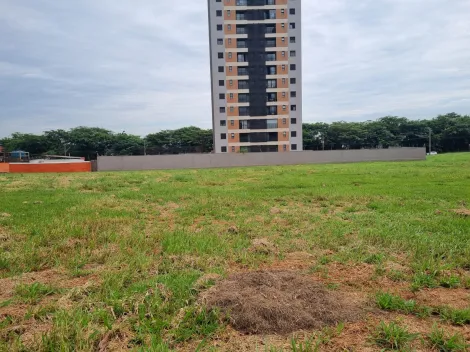 imagem 3 - Terreno - Padrão imagem 3 - Terreno - Padrão