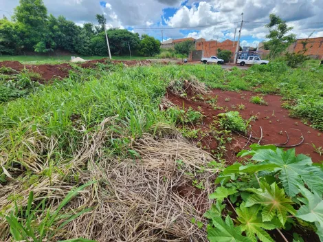 imagem 5 - Terreno 250m², à venda - Bonfim Paulista imagem 5 - Terreno 250m², à venda - Bonfim Paulista