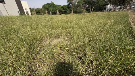 imagem 4 - Terreno - Padrão imagem 4 - Terreno - Padrão